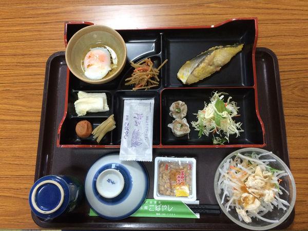 Ryokan Kobayashi Katashina Экстерьер фото